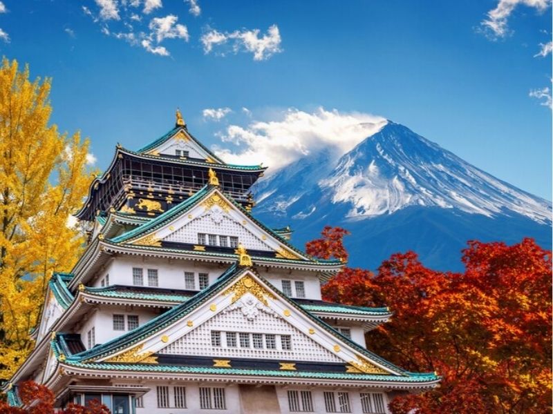 bandodulichnhatban12