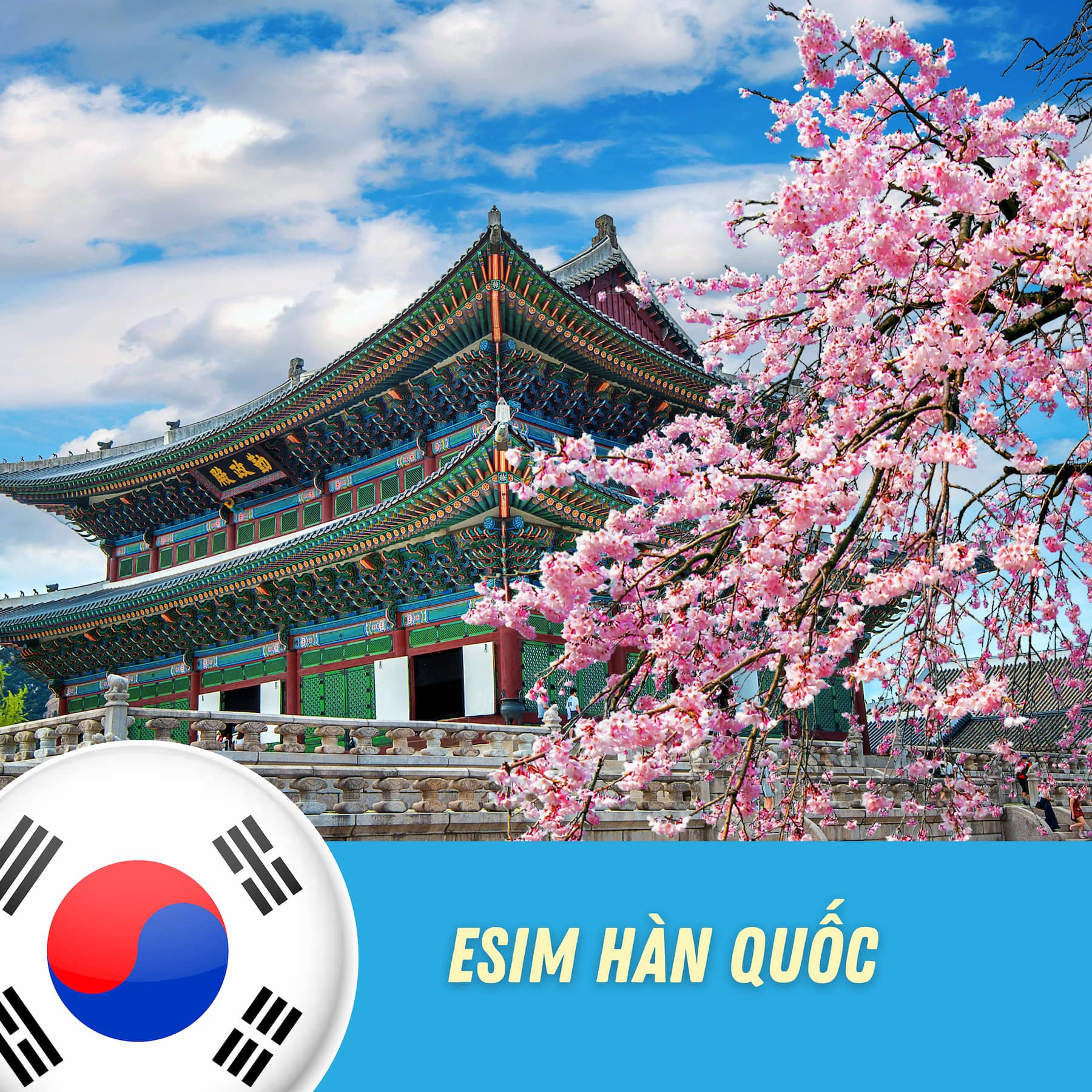 esim-han-quoc-visana-esim