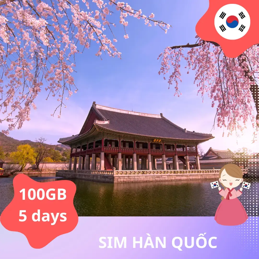  Hướng dẫn dùng eSIM du lịch Hàn Quốc: Kết nối liền mạch, không phí ẩn 2