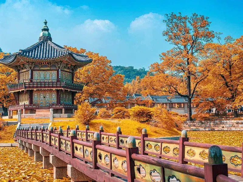 Mùa thu Hàn Quốc: Khám phá thời tiết và khí hậu lý tưởng cùng EZSim 2