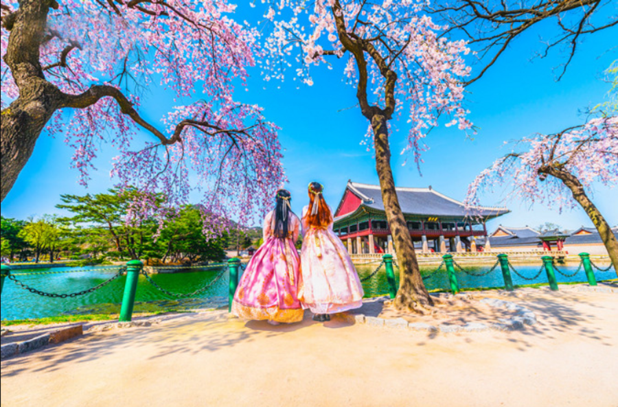  Tết Âm Lịch 2026: Khám phá đâu là điểm đến lý tưởng cho bạn? 2