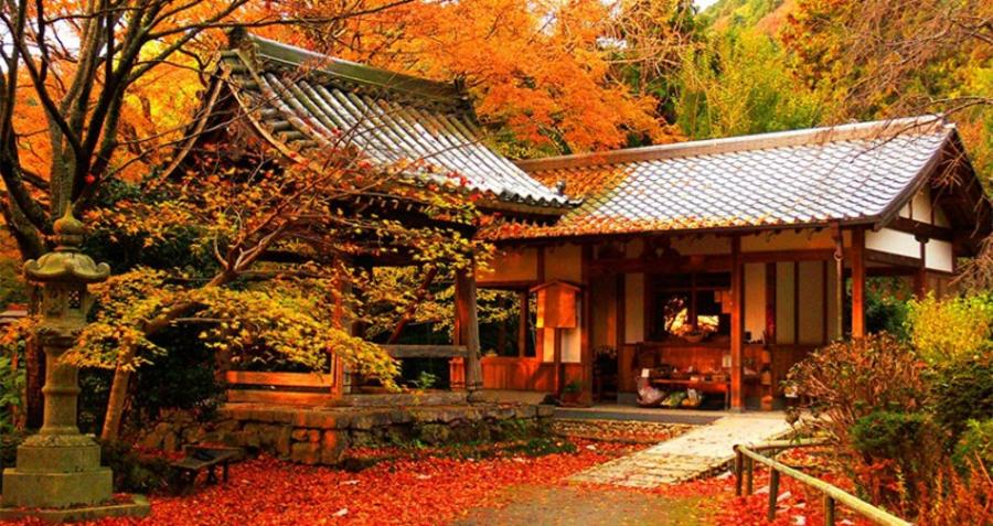 Mùa lá đỏ rực rỡ: Khám phá thời tiết và khí hậu Nhật Bản mùa thu 2