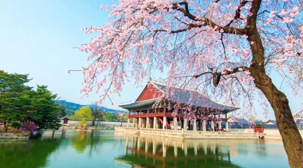  Kinh nghiệm dùng eSIM du lịch Hàn Quốc: Kết nối không giới hạn cùng EZSim 2